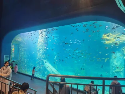 水族館用アクリルパネルの工場価格